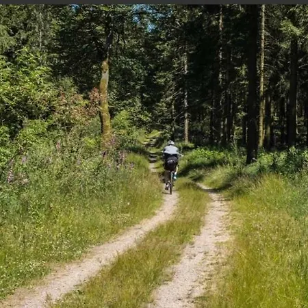 Restaurant Zum Landmann 호텔